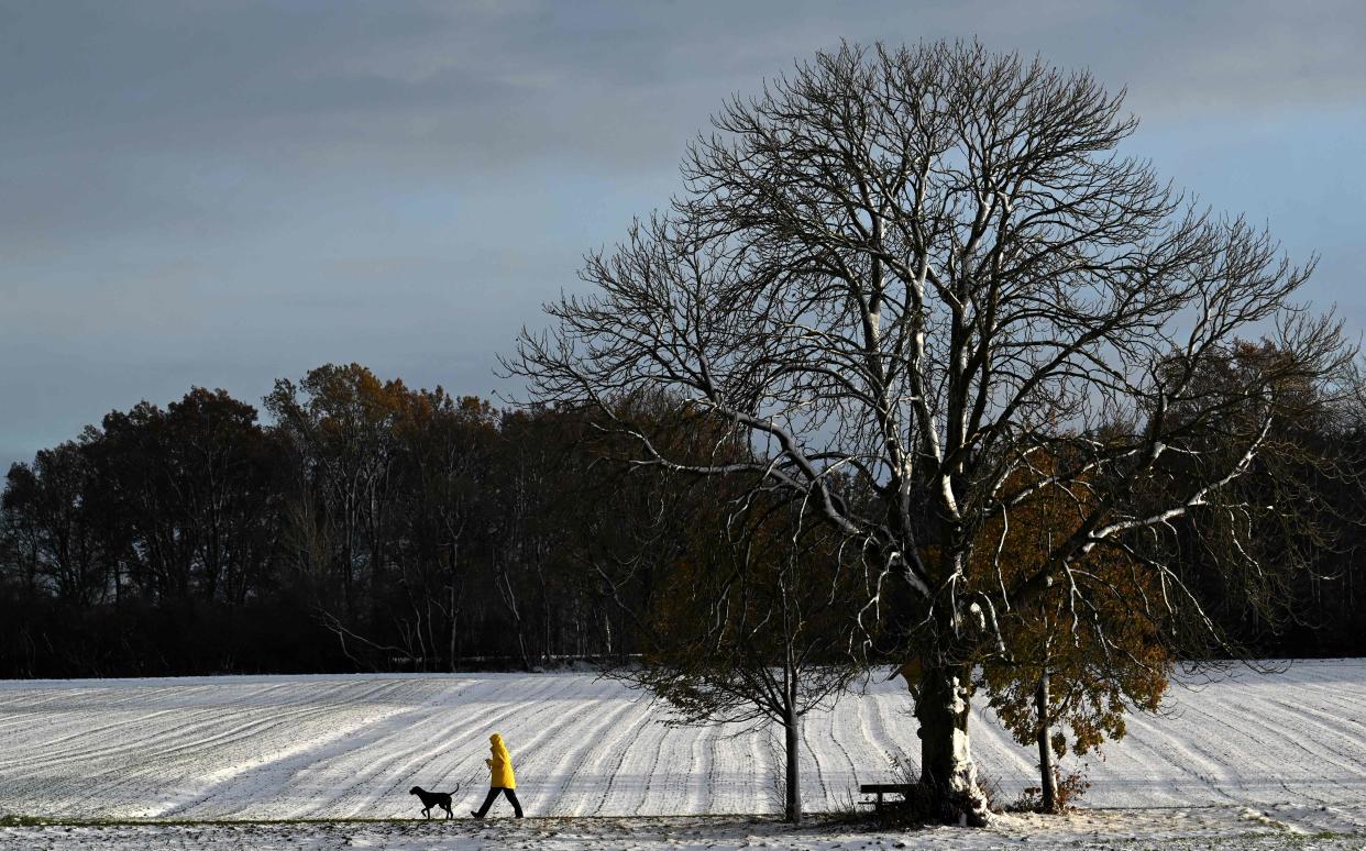 A man takes his dog for a walk along snow-covered fields near the small Bavarian village of Alling, southern Germany (AFP via Getty Images)