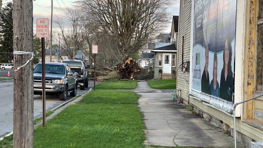 Wednesday's severe storms brought down several trees in Bucyrus, Crawford County. (NBC4)