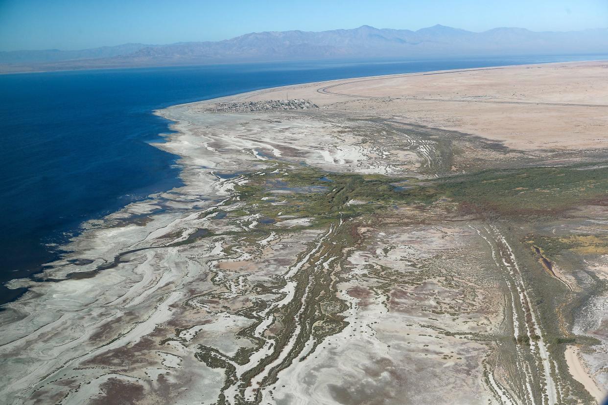 Natural wetlands cover a portion of the Salton Sea's eastern shoreline just south of Bombay Beach, October 19, 2019.