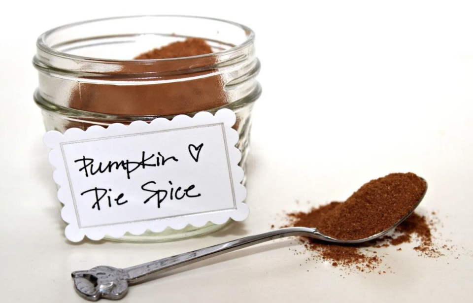 <p>Lori Lange</p><p>A DIY pumpkin pie spice blend is truly worth your time, in part because it’s super easy to put together, and it'll ensure you're ready to make all the pumpkin desserts you'll want! </p><p><strong>Get the recipe: <em><a href="https://parade.com/157763/lorilange/how-to-make-pumpkin-pie-spice/" rel="nofollow noopener" target="_blank" data-ylk="slk:DIY Pumpkin Pie Spice;elm:context_link;itc:0;sec:content-canvas" class="link ">DIY Pumpkin Pie Spice</a></em></strong></p>