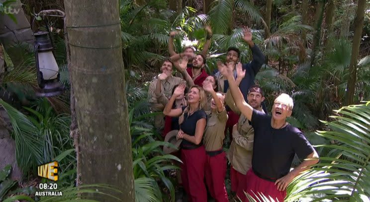 I'm A Celebrity jungle owner in court for trashing ITV's set