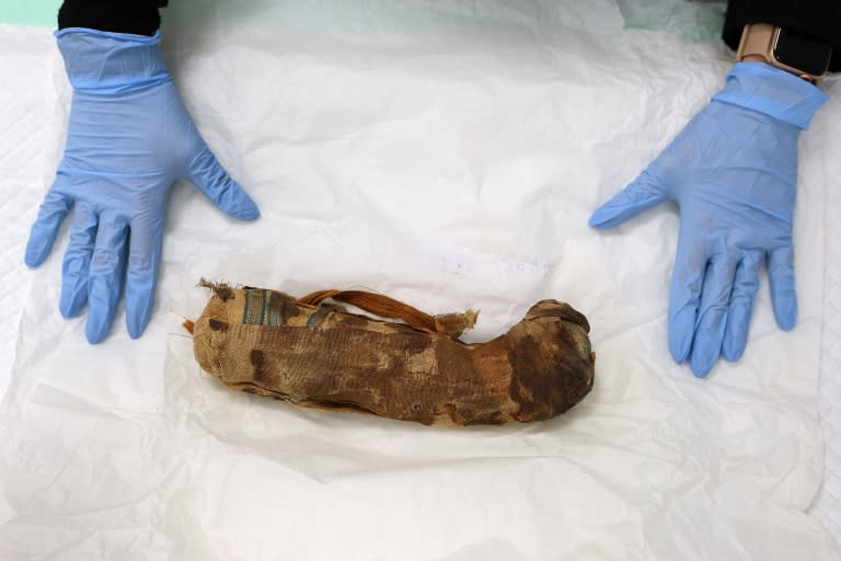 Une momie d'animal est posée dans un scanner pour être passée au rayon X, le 29 janvier 2024 à Strasbourg (AFP - FREDERICK FLORIN)