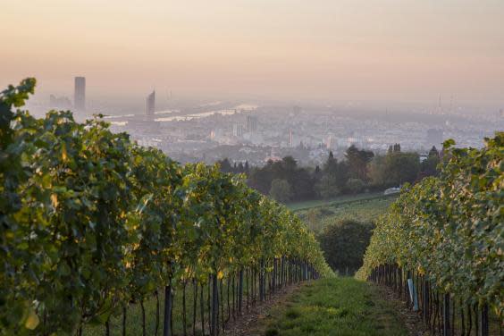 Why Vienna is the best place in the world, by a former resident