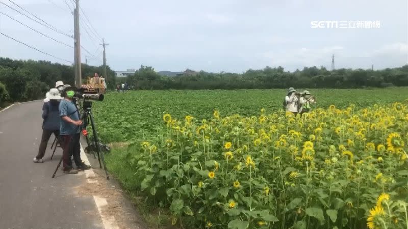 有攝影愛好者扛著大砲，要記錄下這季節的限定美景。