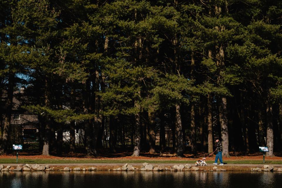 A man walks his dog at Dover City Park, Thursday, Feb. 1 in Dover.