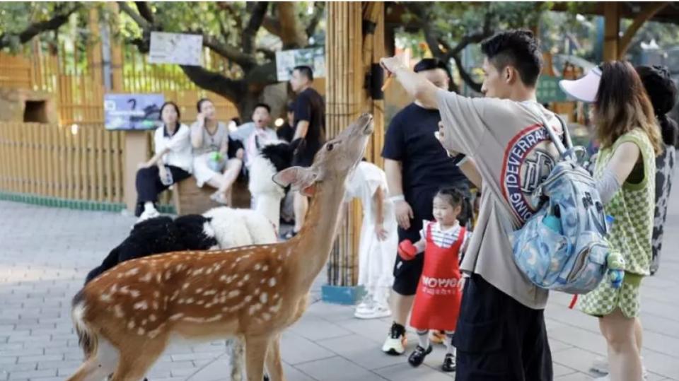 深圳好去處｜南山玩樂一日遊！世界之窗大玩賽車/滑雪/動物園、露營燒烤場睇靚景、2024年新開幕商場