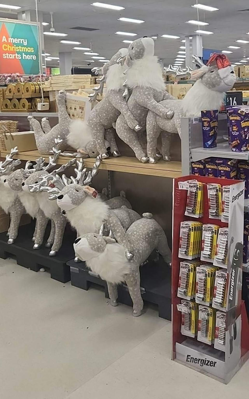 Kmart reindeers display in store