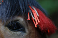 <p>A mule decorated with red tassels carries bricks and other construction materials up the steep path towards the Jiankou section of the Great Wall, located in Huairou District, north of Beijing, China, June 7, 2017. “The path is too steep and the mountains are too high, so bricks can only be transported by mules,” said local mule owner Cao Xinhua. (Photo: Damir Sagolj/Reuters) </p>