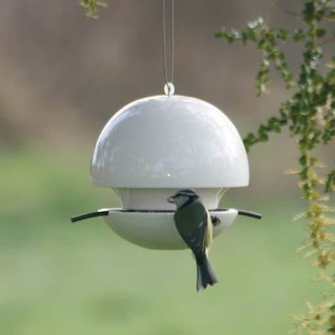 Green & Blue Birdball Seed Bird Feeder - Credit: Not On The High street