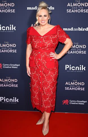 <p>Karwai Tang/WireImage</p> Rebel Wilson