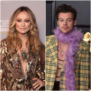 Olivia Wilde Attends Harry Styles Las Vegas Concert