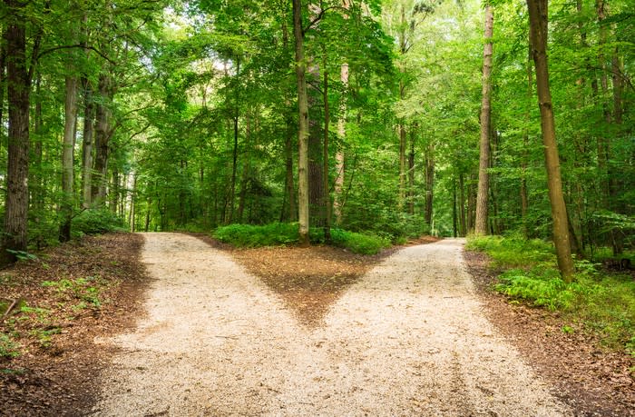 A road diverges in a forest.