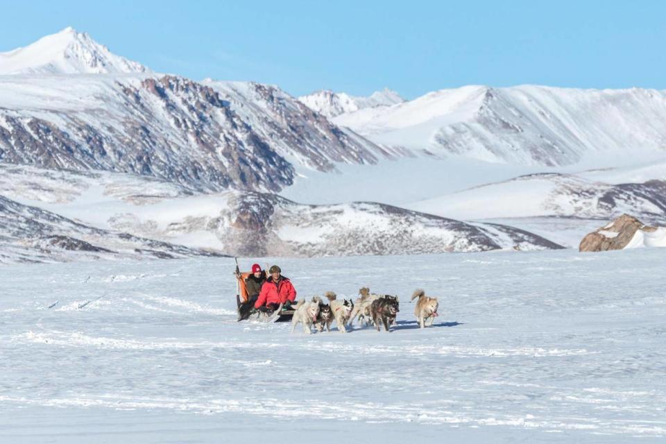 Going husky sledding is part of the Greenland experience