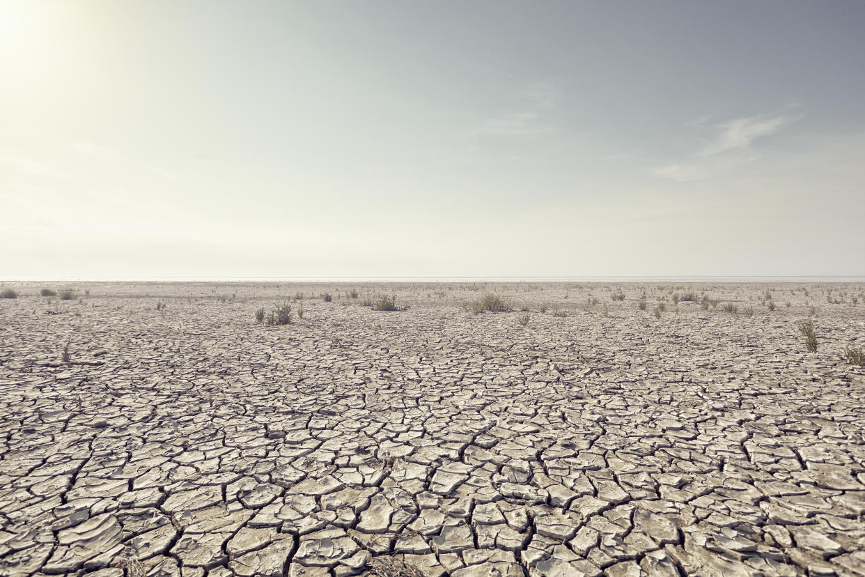 Open plain with cracked mud and clear sky