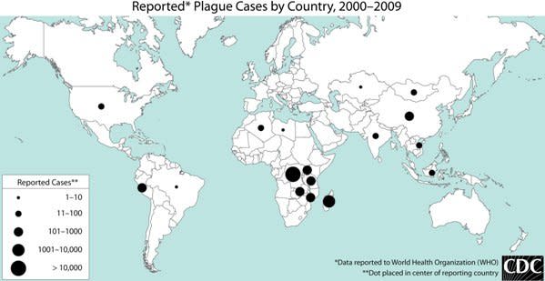 cdc plague map world