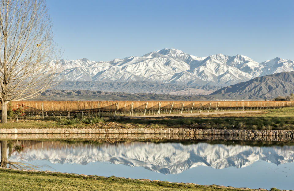 Viñedos, lagos y los Andes nevados son un paisaje casi exclusivo de la región de Mendoza. Foto: Getty Images