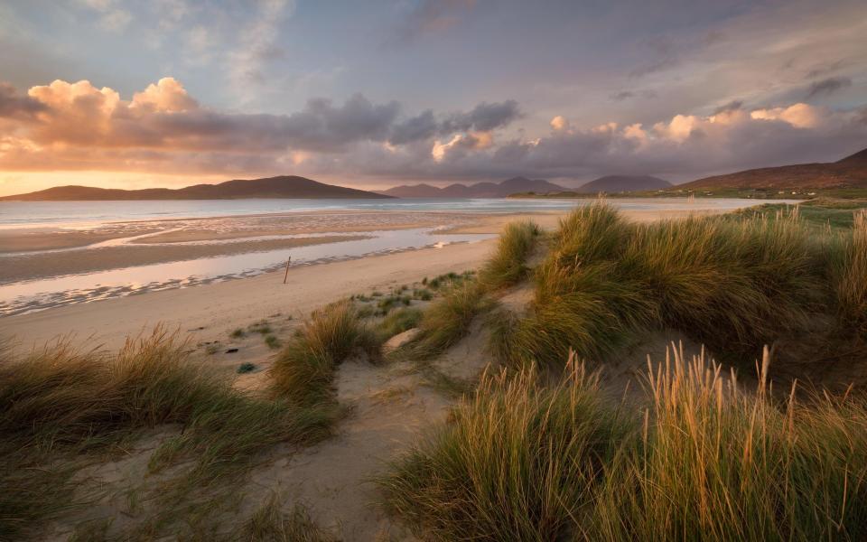 'Machair' is the Gaelic word for fertile, low-lying grassy plain, with the habitats only found on the exposed west-facing shores of Scotland and Ireland - Getty