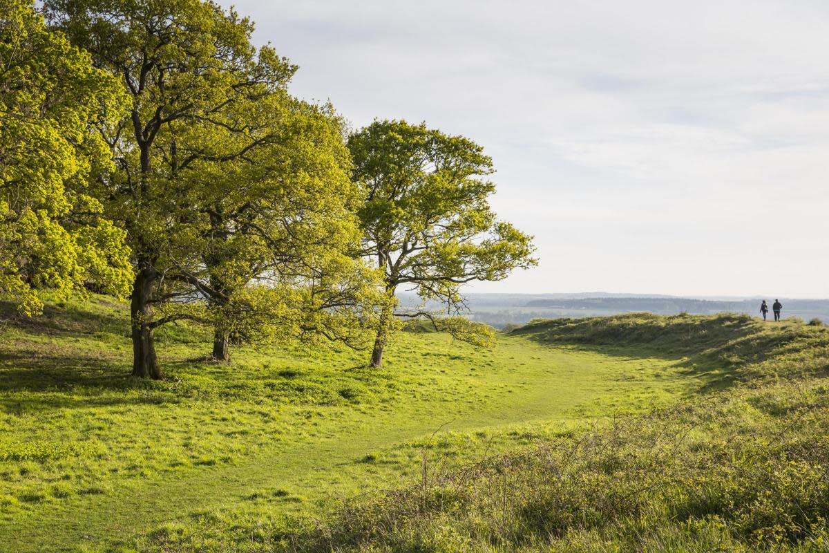 Visitors walking along the remains of the ramparts and ditches of the iron age hill fort at Badbury Rings <i>(Image: National Trust, James Dobson)</i>