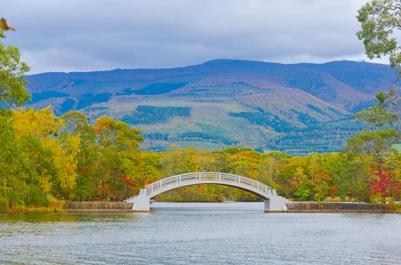 日本最早紅葉！北海道賞楓時間、必去景點一次看