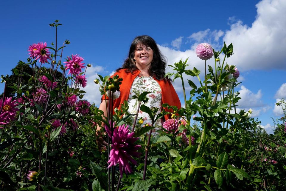 Erin Achenbach, head florist and farmer at What Cheer Flower Farm in Providence, stands amid dahlias at the farm.