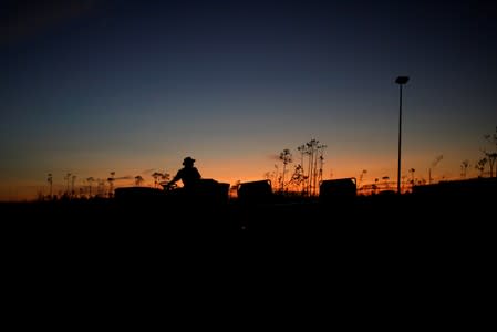 A volunteer drives a cargo cart at the landing track at the Leonard M. Thompson International Airport during an evacuation operation after Hurricane Dorian hit the Abaco Islands in Marsh Harbour