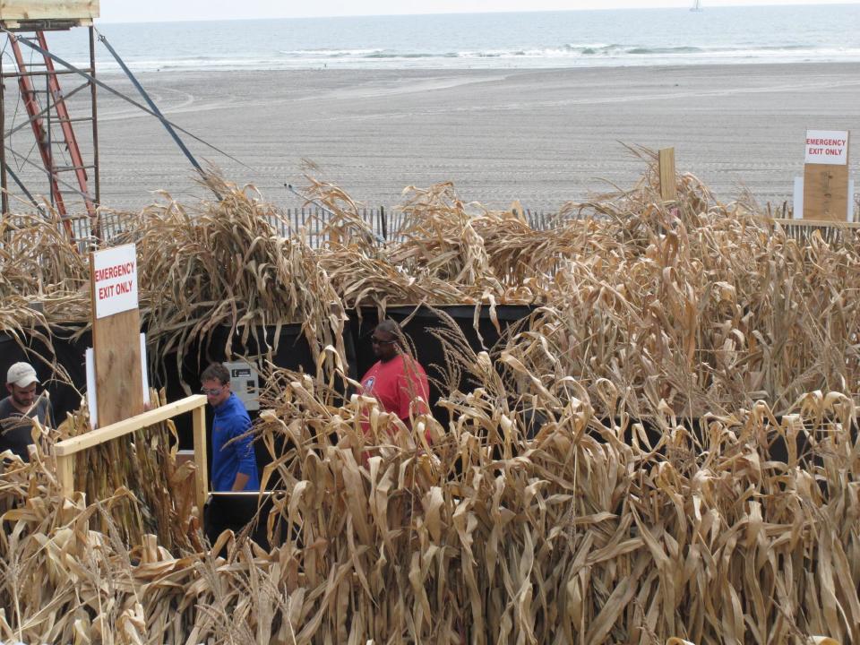 Employees work on a beachfront corn maze in Wildwood N.J. on Sept. 27, 2012. The boardwalk is adapting some of its summertime rides to a Halloween theme to try to extend the tourist season as long as possible. (AP Photo/Wayne Parry)