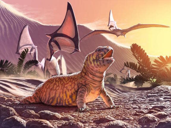 The newfound lizard species Gueragama sulamerica was found at a site in Brazil known for its pterosaurs fossils