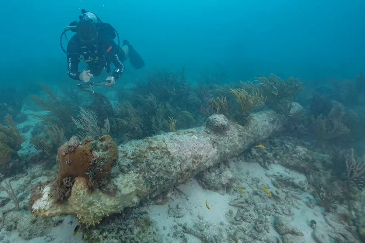 A NPS diver documenting one of five coral encrusted cannons found in Dry Tortugas National Park (Brett Seymour/NPS)