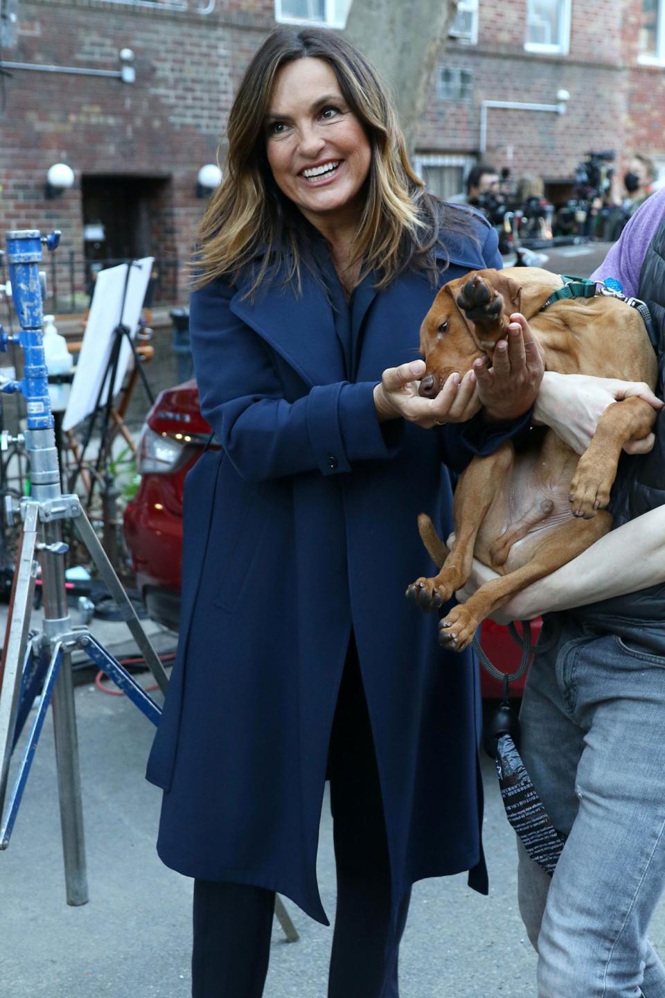 <p>Mariska Hargitay pets a canine costar on Wednesday on the New York City set of <em>Law & Order: SVU.</em></p>