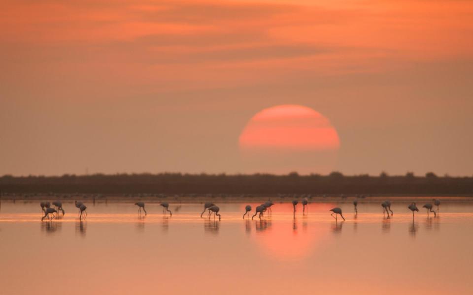 Ebro Delta - iStock