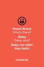 <p><strong>Knock Knock</strong></p><p><em>Who’s there? </em></p><p><strong>Daisy.</strong></p><p><em>Daisy who?</em></p><p><strong>Daisy me rollin’, they hatin’.</strong></p>