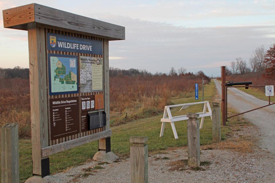 Ottawa National Wildlife Refuge will kick off the holiday season with a Bonus Holiday Drive, on Saturday, Dec. 3. The gates on the 7-mile wildlife drive will be open from sunrise till one hour before sunset, weather permitting. The bonus wildlife drive opportunity coincides with ONWR's Holiday Open House. Santa and Mrs. Claus will be handing out candy canes, and Friends of Ottawa NWR board members and volunteers will provide complimentary cookies and cocoa from noon to 3 p.m.