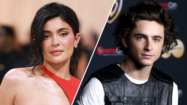 Kylie Jenner, Timothee Chalamet's Relationship Is 'Not Serious