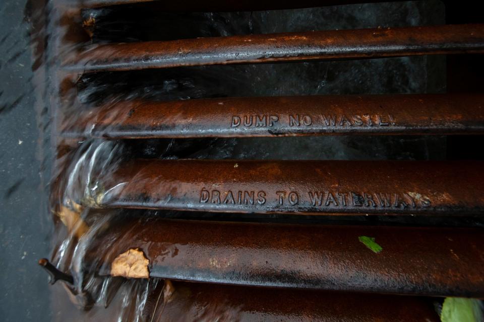 Rain goes into a storm grate in Downtown Indianapolis on Tuesday, Aug. 20, 2019. Rain like this often carries a myriad of pollutants to the White River. Pollutants include cigarette butts, toxic car brake dust and lawn pesticides.