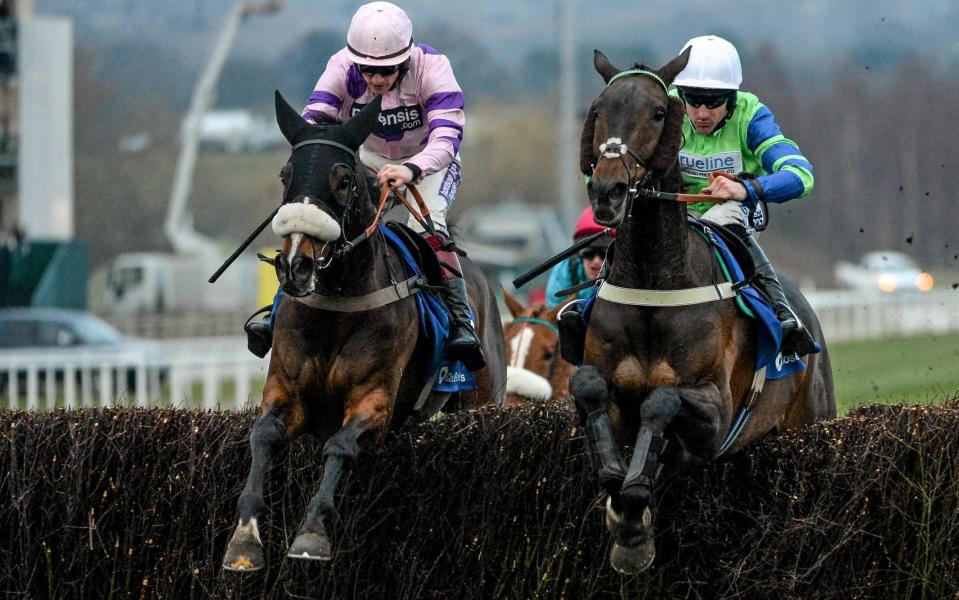 Ballyalton (right) has shown a string liking for the demands of Cheltenham - Sportsfile