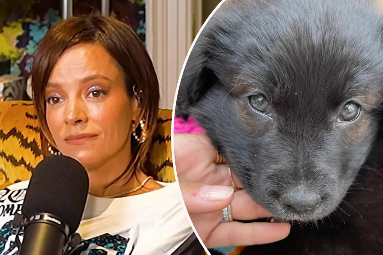 Lily Allen branded an 'awful person' by fans after returning rescue dog: 'Ruined my life'