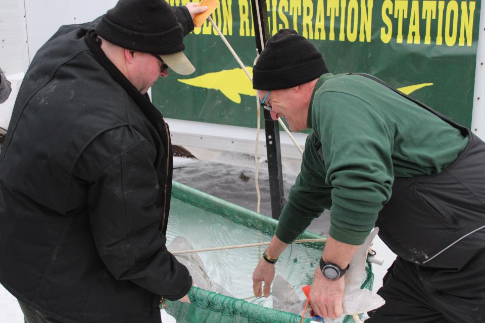 Michigan Department of Natural Resources personnel work with the second sturgeon that was caught on Black Lake on Saturday, Feb. 4, 2023.