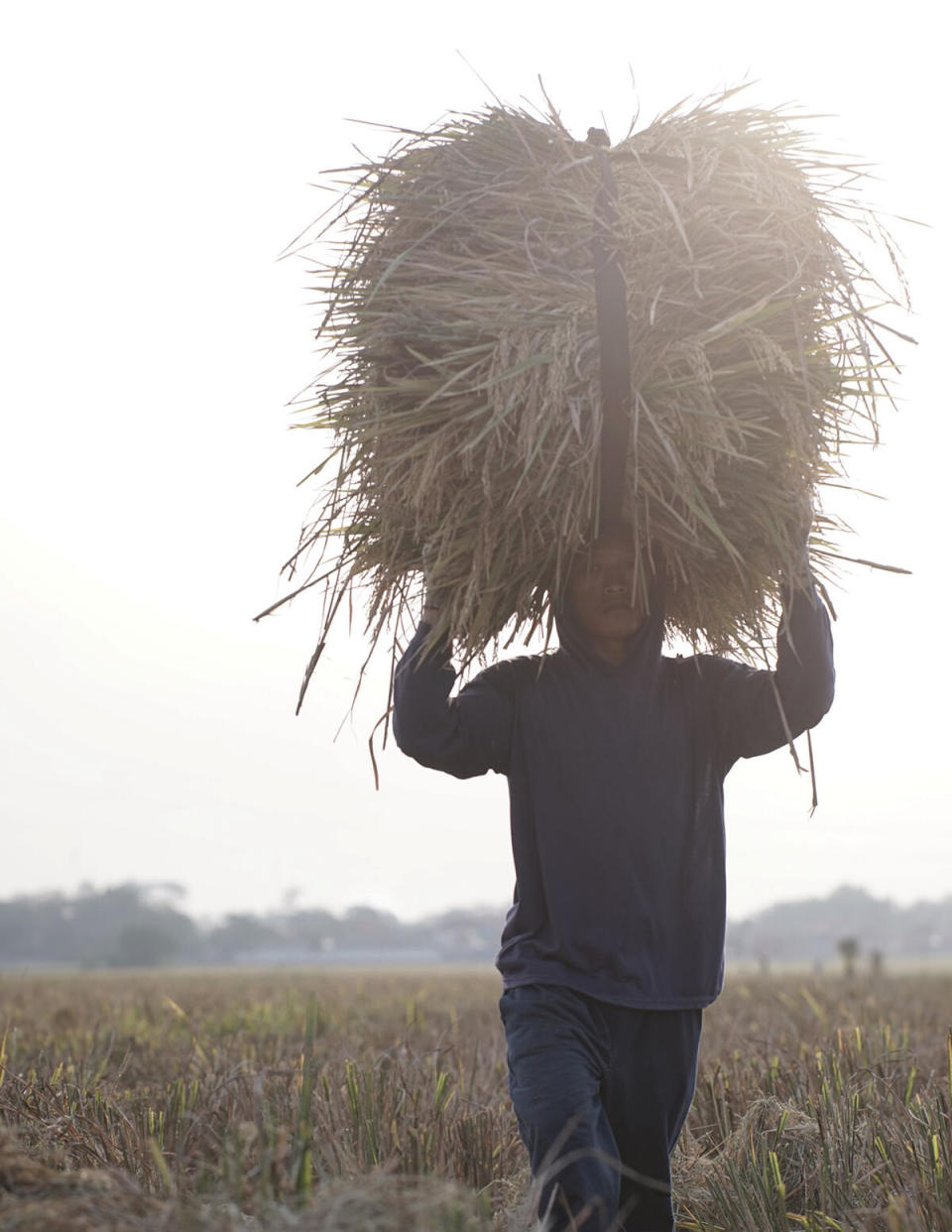 The company farms and harvests its all-natural fibers from seed