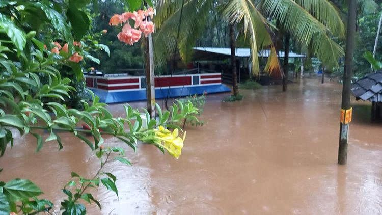 <div class="paragraphs"><p>Krishan Prasad's house, in Kottayam's Chenappady town, submerged in flood water</p></div>