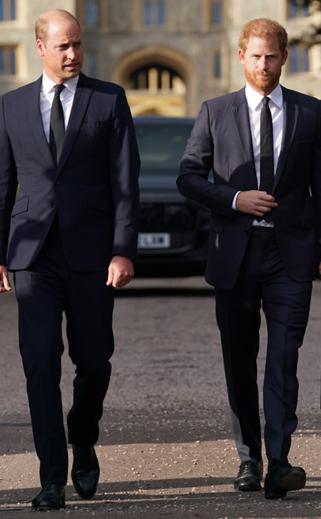 Prince Harry, Prince William