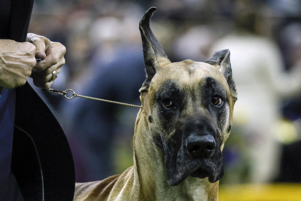 (AP Photo/John Minchillo)