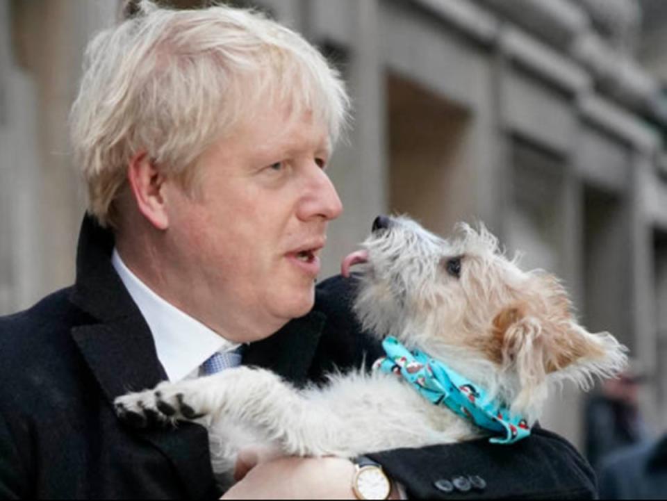 Mr Johnson and his dog Dilyn (Getty Images)