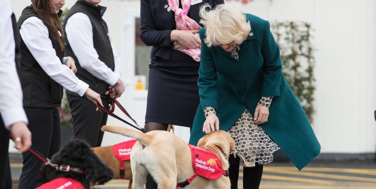 Photo credit: Aaron Chown - PA Images - Getty Images