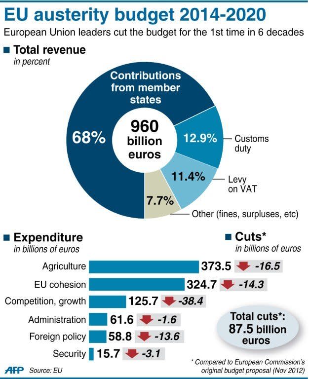 Graphic showing the EU's austerity budget for 2014-2020. Pushed by British Prime Minister David Cameron, who said the EU could not increase spending while many of its members were forced to slash their national budgets, leaders agreed a cut of around three percent compared with the 2007-13 budget