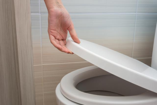 How a Snake Can Get Into Your Home Through Your Toilet — Best Life