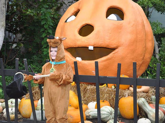 Kentucky: The Louisville Zoo Halloween Party