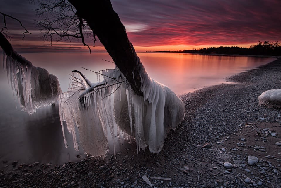 A violet and blood red sky is the backdrop for trees encased in ice - a result of violent storms which caused the lake to thrash the shore. This dramatic photo shows the effect of sub-zero temperatures on a stretch of Lake Ontario between Whitby and Oshawa, Canada (Tim Corbin)