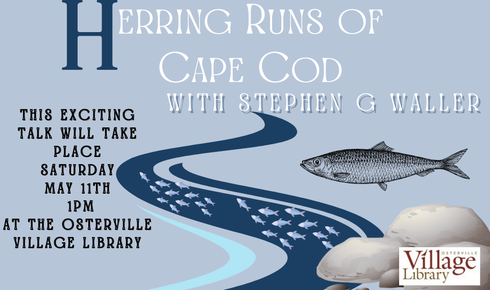 Poster for Stephen G Waller talk on the herring runs on May 11 at the Osterville Village Library.