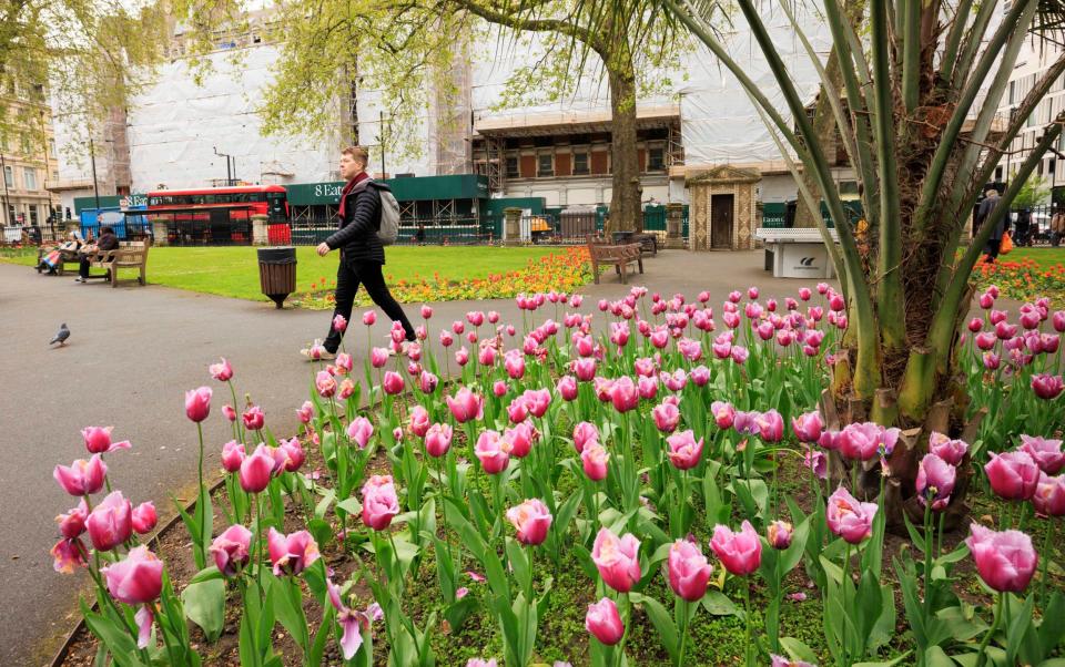 Jack Rear walks through Grosvenor Gardens in Victoria, the last green space before reaching the Telegraph office