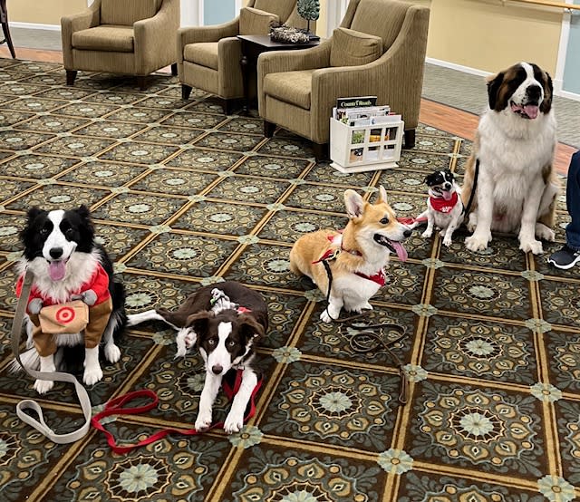 Five dogs with Bayou Buddies Pet Therapy are pictured at Williamsburg Senior Living.